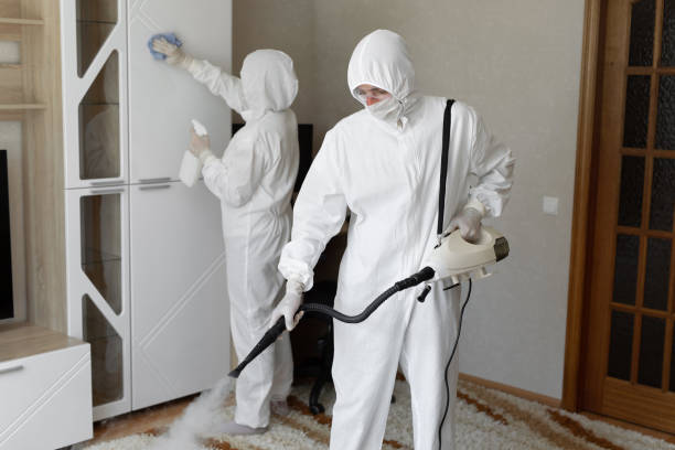 Best Post-Flood Mold Remediation in Cloverly, MD