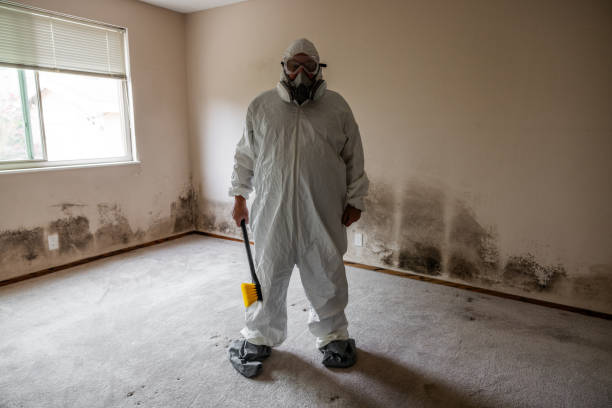 Best Mold Testing and Inspection Services in Cloverly, MD